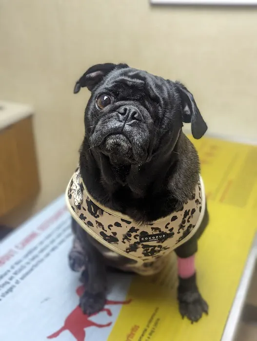 Moyers Veterinary Hospital 5