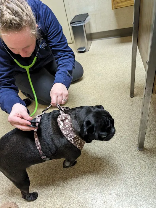Moyers Veterinary Hospital 3