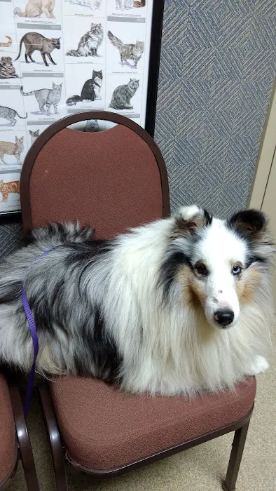 Moyers Veterinary Hospital 8