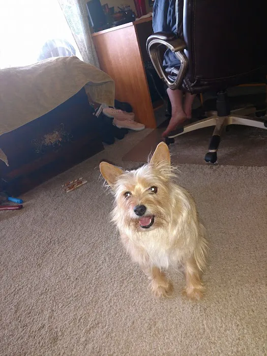 Moyers Veterinary Hospital 4