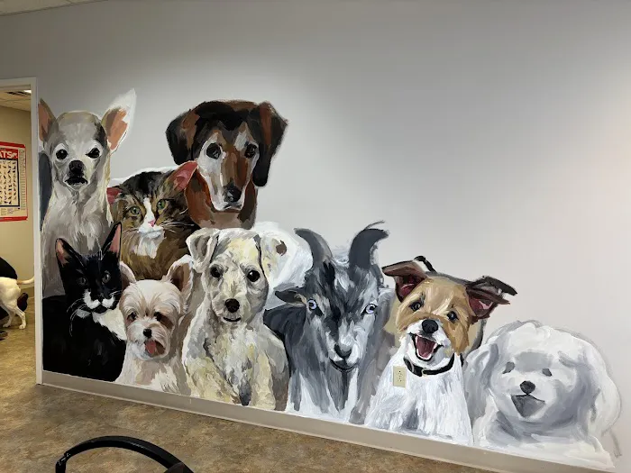 4 Paws Animal Hospital 6