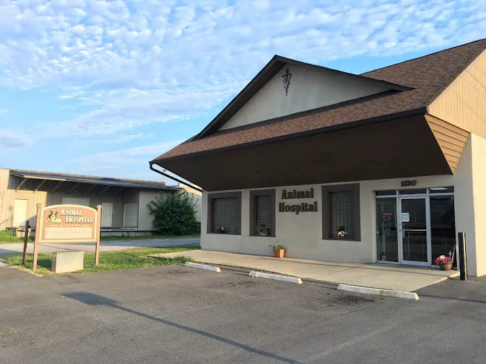 West Main Animal Clinic 9