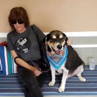 West Main Animal Clinic ico