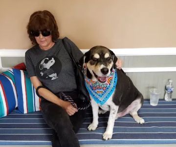 West Main Animal Clinic