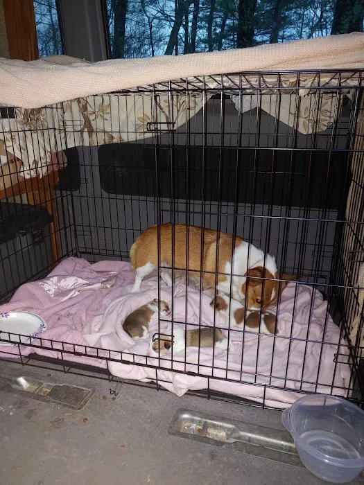 West Main Animal Clinic 10