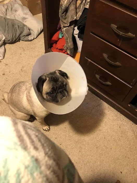 Morristown Animal Hospital 2