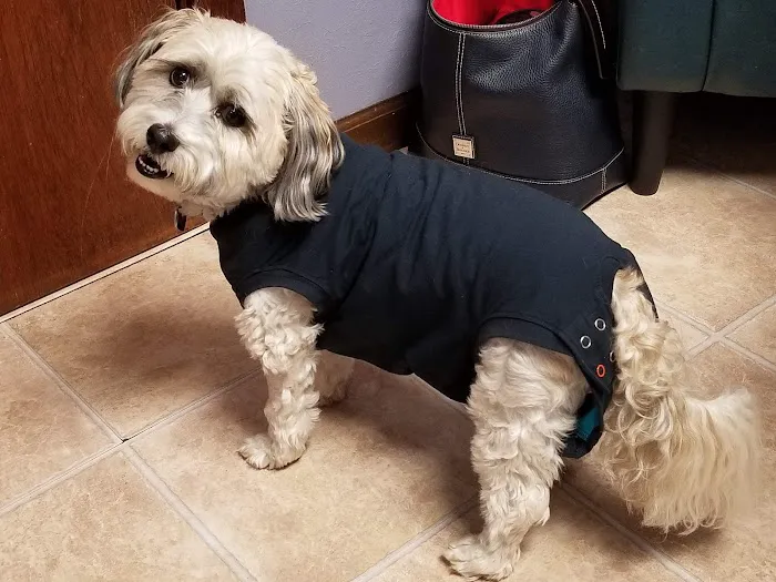 Town & Country Animal Hospital 7