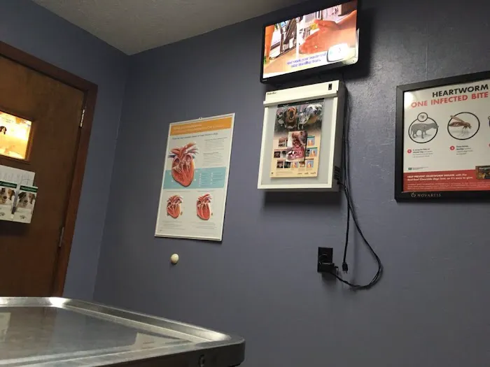 Town & Country Animal Hospital 6
