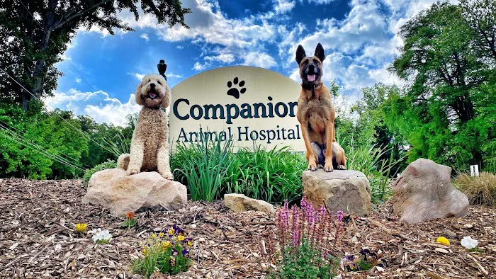 Companion Animal Hospital 7