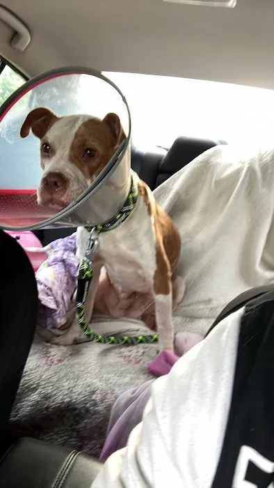 Five Rivers Pet Emergency Hospital 2