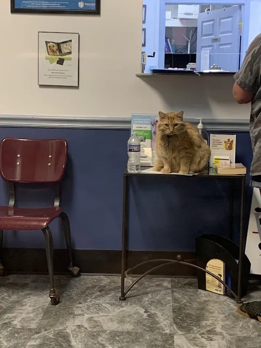Five Rivers Pet Emergency Hospital 9