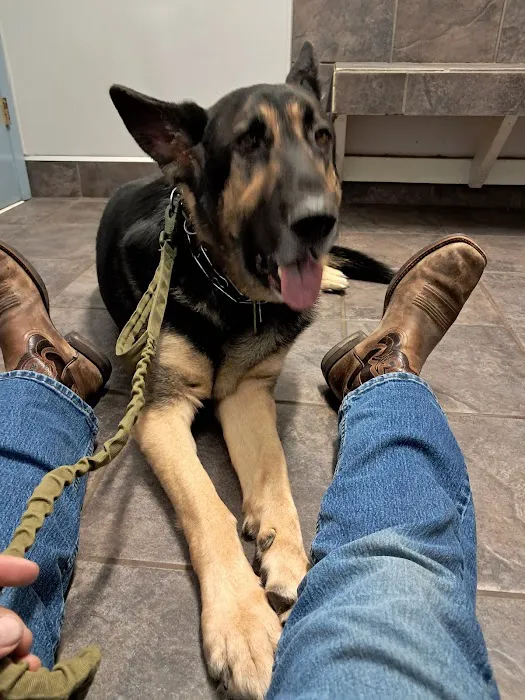 Crossings Animal Hospital 8