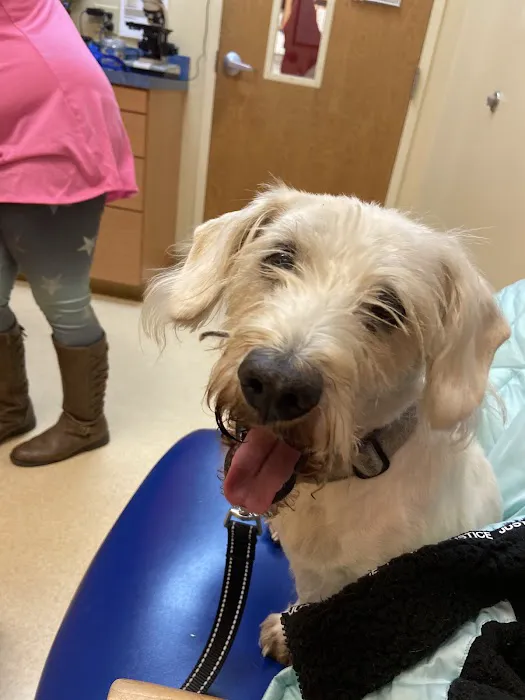 Asheville Highway Animal Hospital, LLC 1