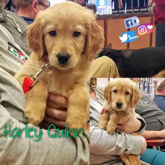 Asheville Highway Animal Hospital, LLC 2