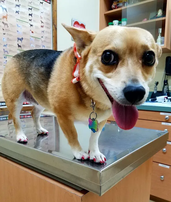 Asheville Highway Animal Hospital, LLC 3