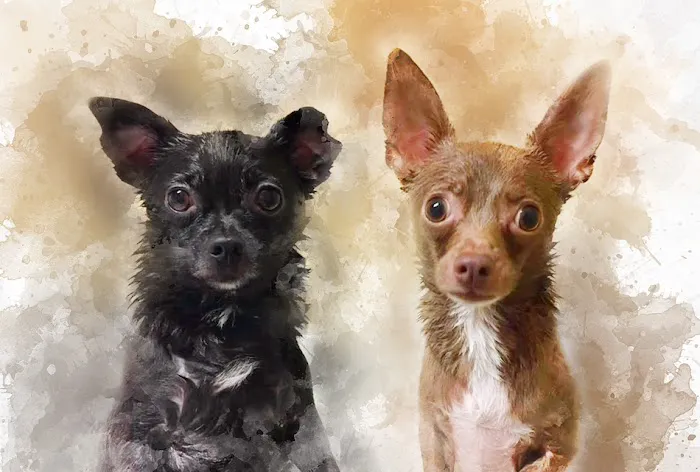 Asheville Highway Animal Hospital, LLC 6