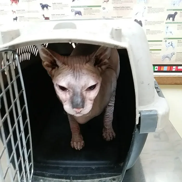 Asheville Highway Animal Hospital, LLC 9