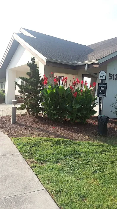 Oak Ridge Veterinary Hospital: Novinger Kristin DVM 3