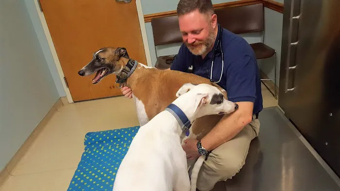 Oak Ridge Veterinary Hospital: Novinger Kristin DVM 10