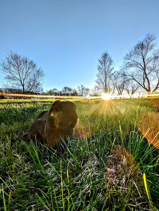 Emory Animal Hospital 3