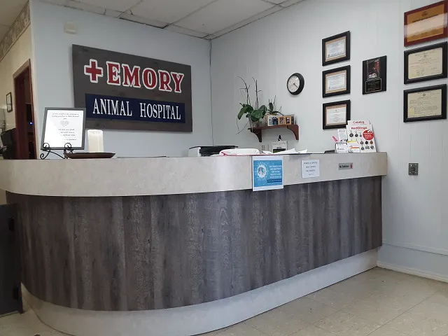 Emory Animal Hospital 10