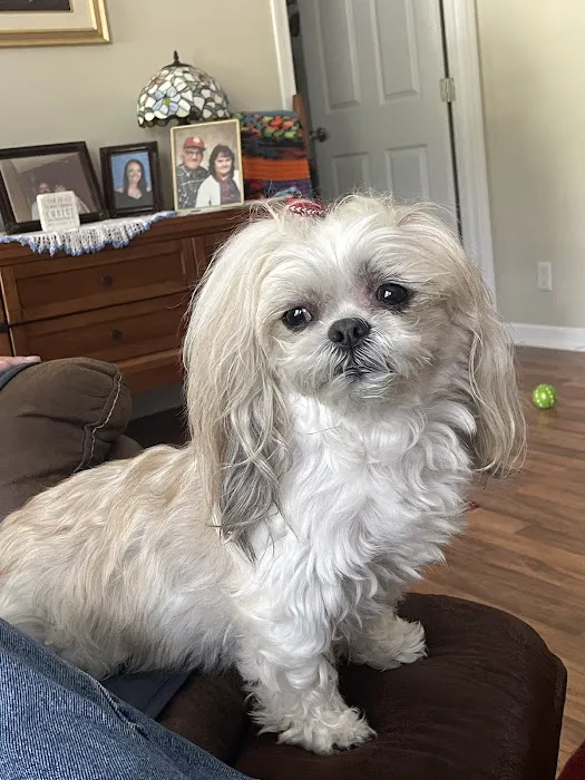 Powell Animal Hospital 3