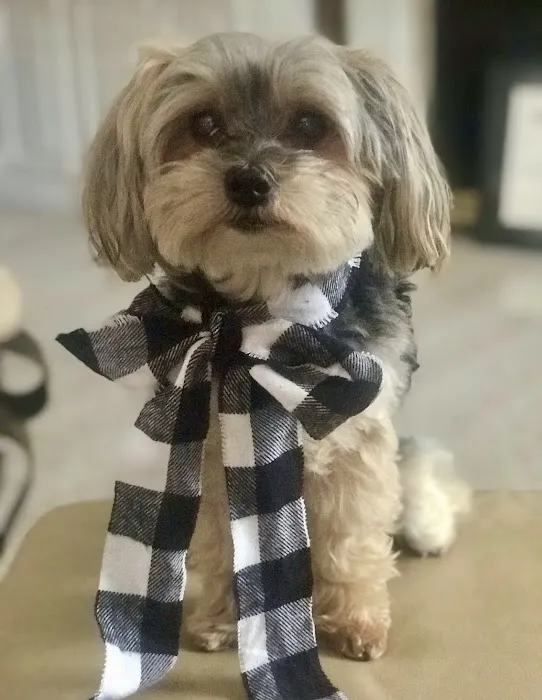 Powell Animal Hospital 8