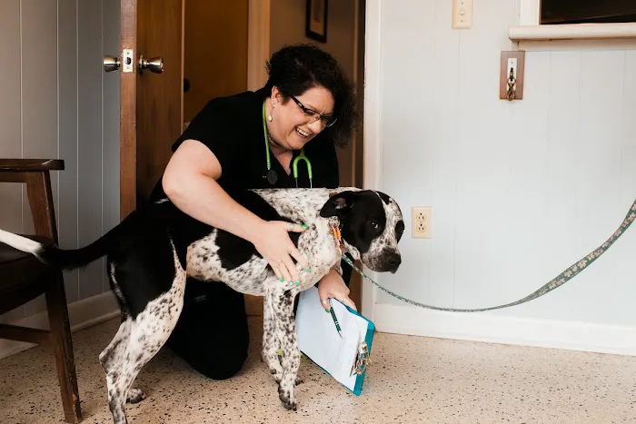 Jackson Square Animal Clinic 2