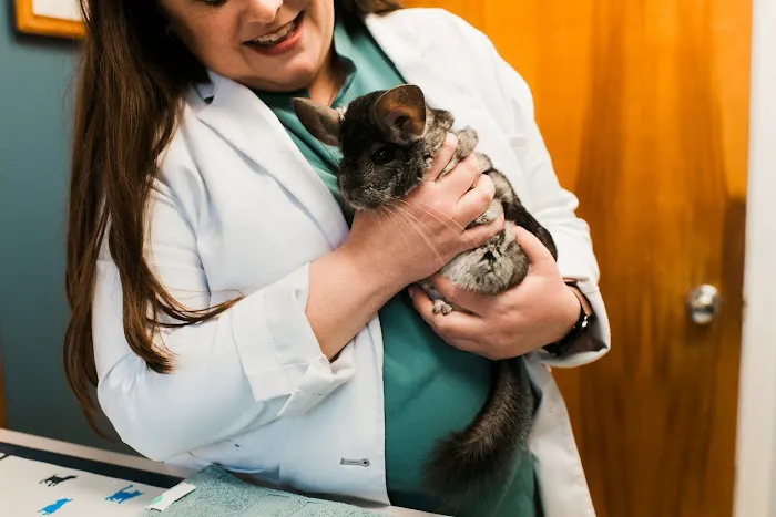 Jackson Square Animal Clinic 3