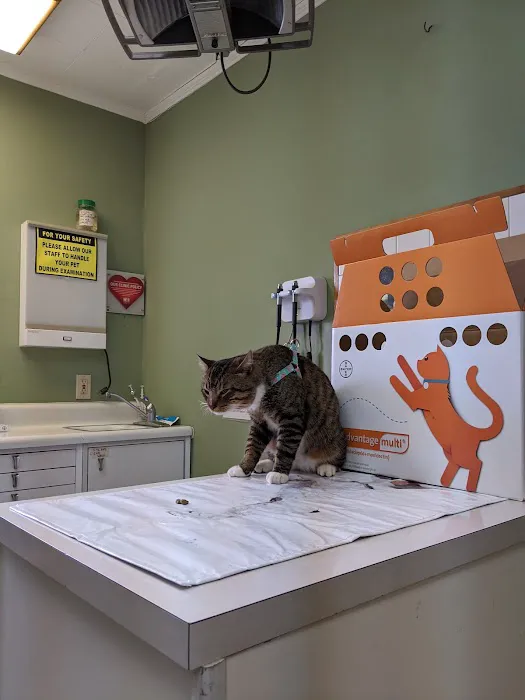 Jackson Square Animal Clinic 8