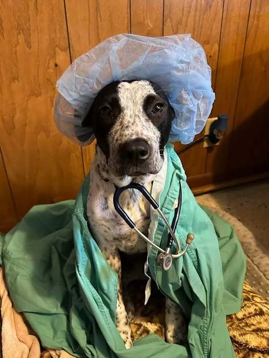 Jackson Square Animal Clinic 10