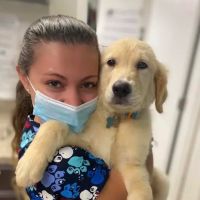 Grace Veterinary Center, Oak Ridge ico