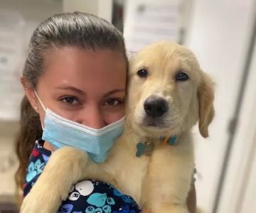 Grace Veterinary Center, Oak Ridge