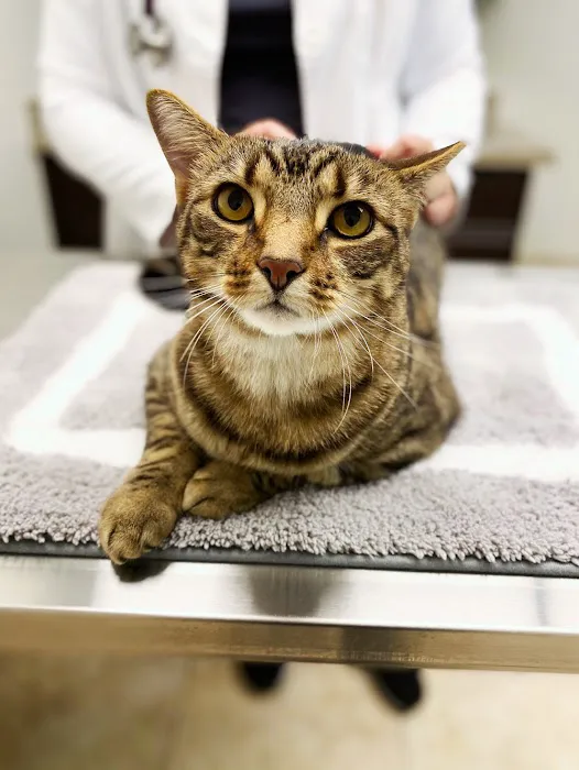Grace Veterinary Center, Oak Ridge 5