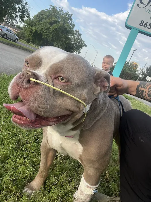 Grace Veterinary Center, Oak Ridge 3