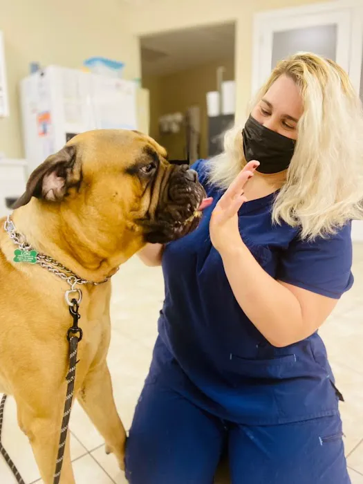 Grace Veterinary Center, Oak Ridge 8