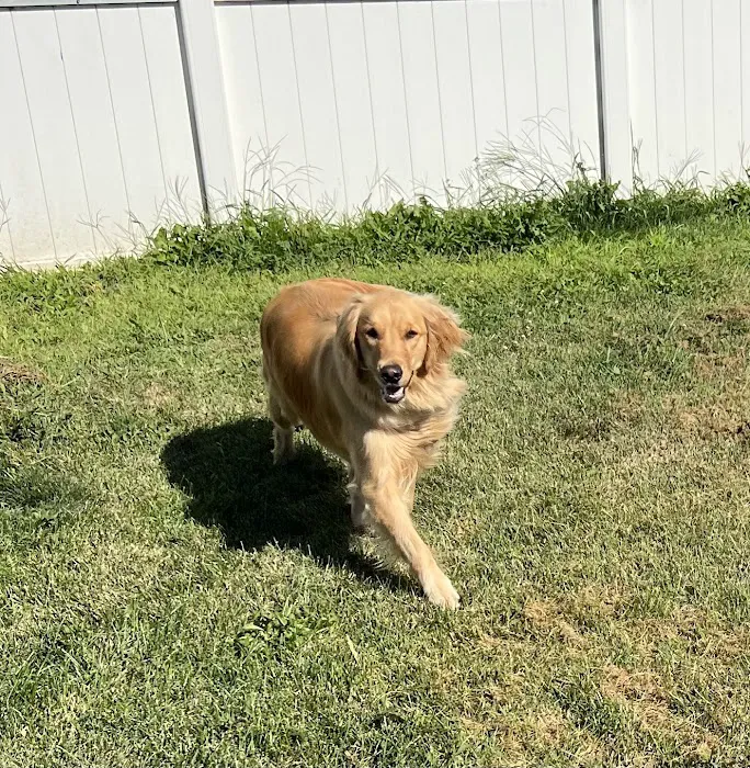Companion Animal Clinic 3