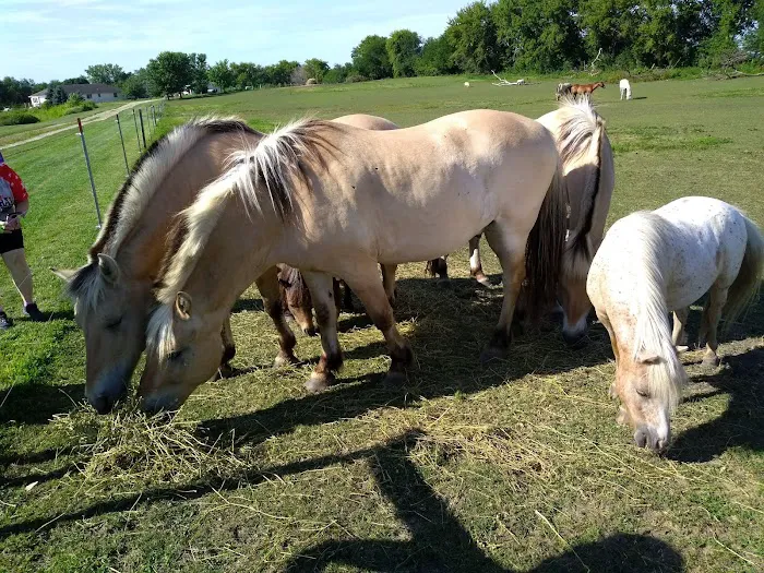 One Heart Equestrian Therapy, Inc. 2
