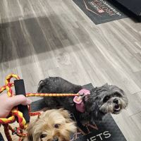 Midland Prairie Veterinary Services ico
