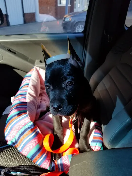 Monroe Animal Clinic 4
