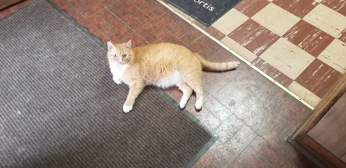 Monroe Animal Clinic 3