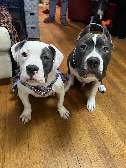 Tri-County Veterinary Clinic 1