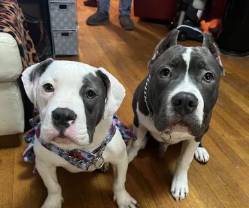Tri-County Veterinary Clinic