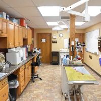 Bondurant Animal Clinic ico