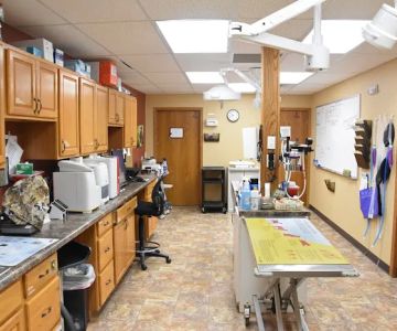 Bondurant Animal Clinic
