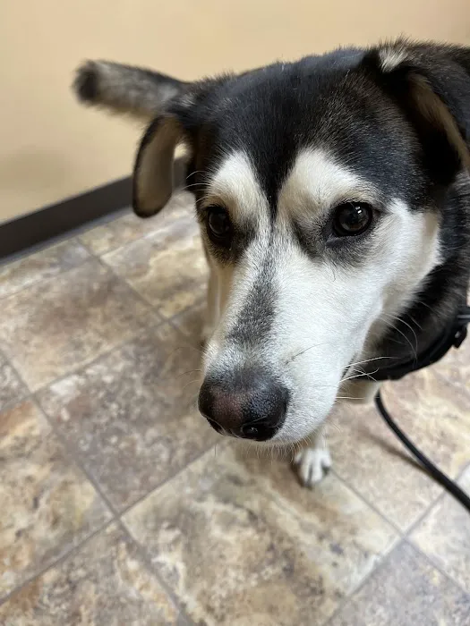 Bondurant Animal Clinic 5