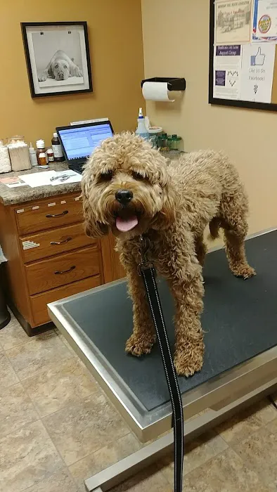 Bondurant Animal Clinic 9