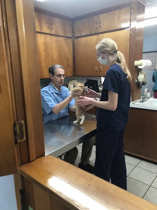Community Veterinary Clinic 7