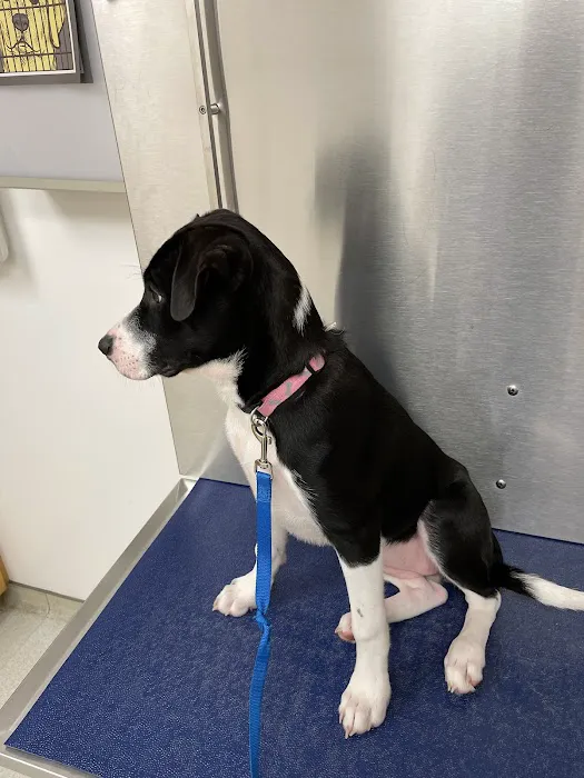 Fairmont Veterinary Hospital 2