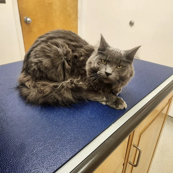 Fairmont Veterinary Hospital 10